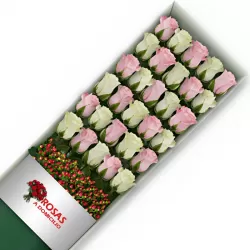 Caja 30 Rosas Blancas y Rosadas
