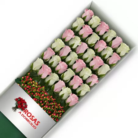 Caja 36 Rosas Blancas y Rosadas