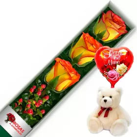 CAJA 3 ROSAS CIRCUS MÁS PELUCHE Y GLOBO DÍA DE LAS MADRES