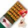 CAJA 24 ROSAS CIRCUS MÁS PELUCHE Y GLOBO DÍA DE LAS MADRES