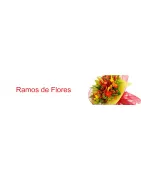Ramos de Flores
