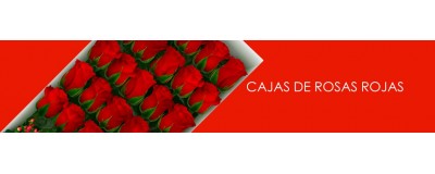 Cajas de Rosas Rojas