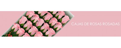 Cajas de Rosas Rosadas
