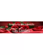 Arreglos Florales a Domicilio en Las Condes