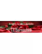 Arreglos Florales a Domicilio en Lo Barnechea