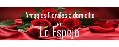 Arreglos Florales a domicilio en Lo Espejo, Envío de arreglos florales en Lo Espejo, Flores a domicilio en Lo Espejo