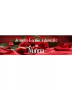 Arreglos Florales a Domicilio en Ñuñoa