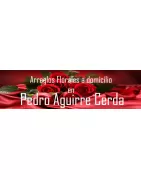 Arreglos Florales a Domicilio en Pedro Aguirre Cerda