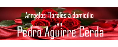 Arreglos Florales a domicilio en Pedro Aguirre Cerda, Envío de arreglos florales en PAC, Flores a domicilio en PAC