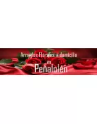 Arreglos Florales a Domicilio en Peñalolén