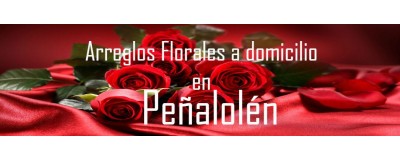 Arreglos Florales a domicilio en Peñalolén, Envío de arreglos florales en Peñalolén, Flores a domicilio en Peñalolén