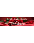Arreglos Florales a domicilio en Providencia, Envío de arreglos florales en Providencia, Flores a domicilio en Providencia