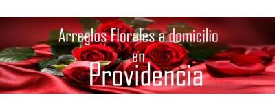 Arreglos Florales a domicilio en Providencia, Envío de arreglos florales en Providencia, Flores a domicilio en Providencia