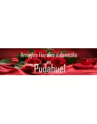 Arreglos Florales a Domicilio en Pudahuel