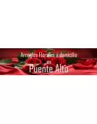 Arreglos Florales a Domicilio en Puente Alto