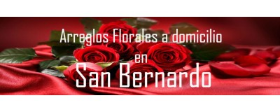 Arreglos Florales a domicilio en San Bernardo, Envío de arreglos florales en San Bernardo, Flores a domicilio en San Bernardo