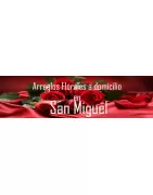 Arreglos Florales a Domicilio en San Miguel
