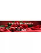 Arreglos Florales a Domicilio en Batuco