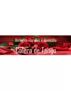 Arreglos Florales a domicilio en Calera de Tango, Envío de arreglos florales en Calera de Tango.