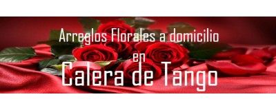 Arreglos Florales a domicilio en Calera de Tango, Envío de arreglos florales en Calera de Tango.