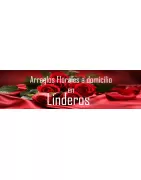 Arreglos Florales a Domicilio en Linderos