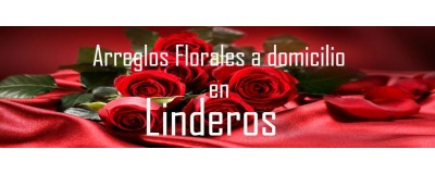 Arreglos Florales a domicilio en Linderos, Envío de arreglos florales en Linderos, Flores a domicilio en Linderos