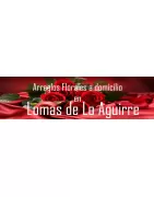 Arreglos Florales a Domicilio en Lomas de Lo Aguirre