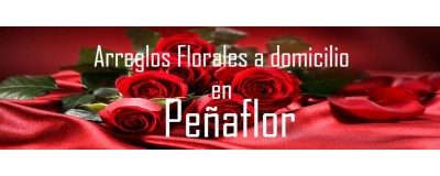Arreglos Florales a domicilio en Peñaflor, Envío de arreglos florales en Peñaflor, Flores a domicilio en Peñaflor