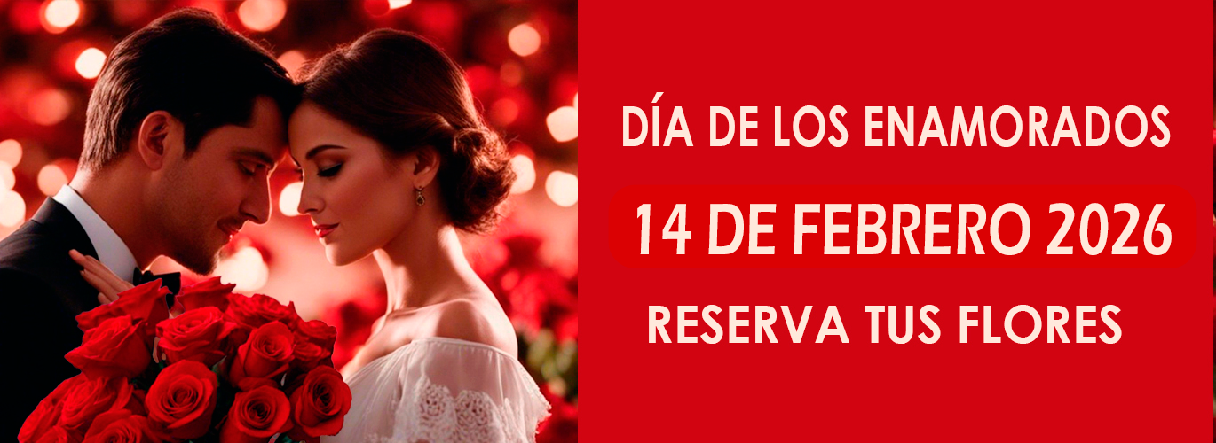 flores para el dia de los enamorados